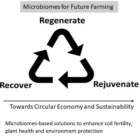 Food, Energy and Water Nexus in Urban Farming - 2