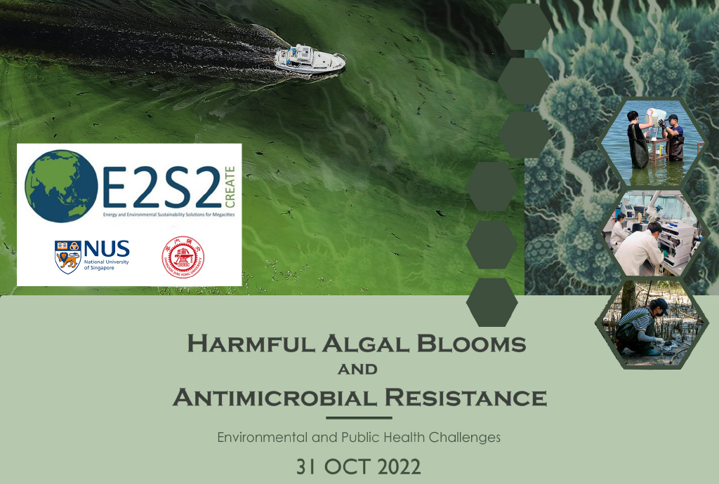 Algae Bloom and Antimicrobial Poster