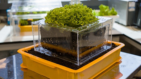 The innovative Transpiration and Evaporation Assisted Device (TEAD) developed by Prof Li Jun and his research team saves up to 45% of the water typically lost, making it a game-changer for urban farms within limited space and resources.