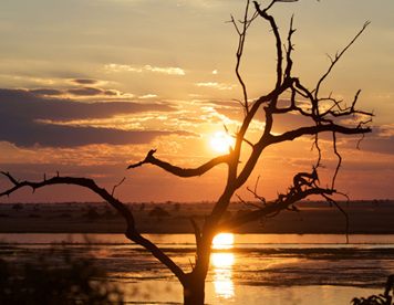 Dumela, Botswana!