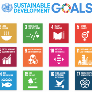 UN_SDGs