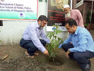 Tree Planting and Beautification Programme