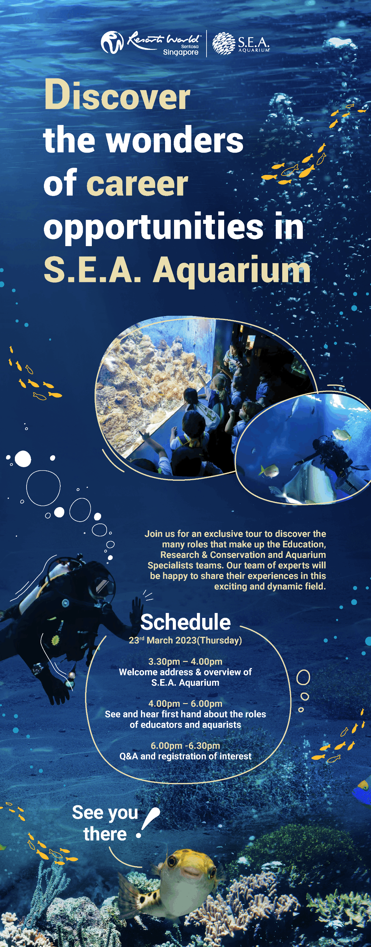 Discover The Wonders Of Career Opportunities In SEA Aquarium! - NUS ...