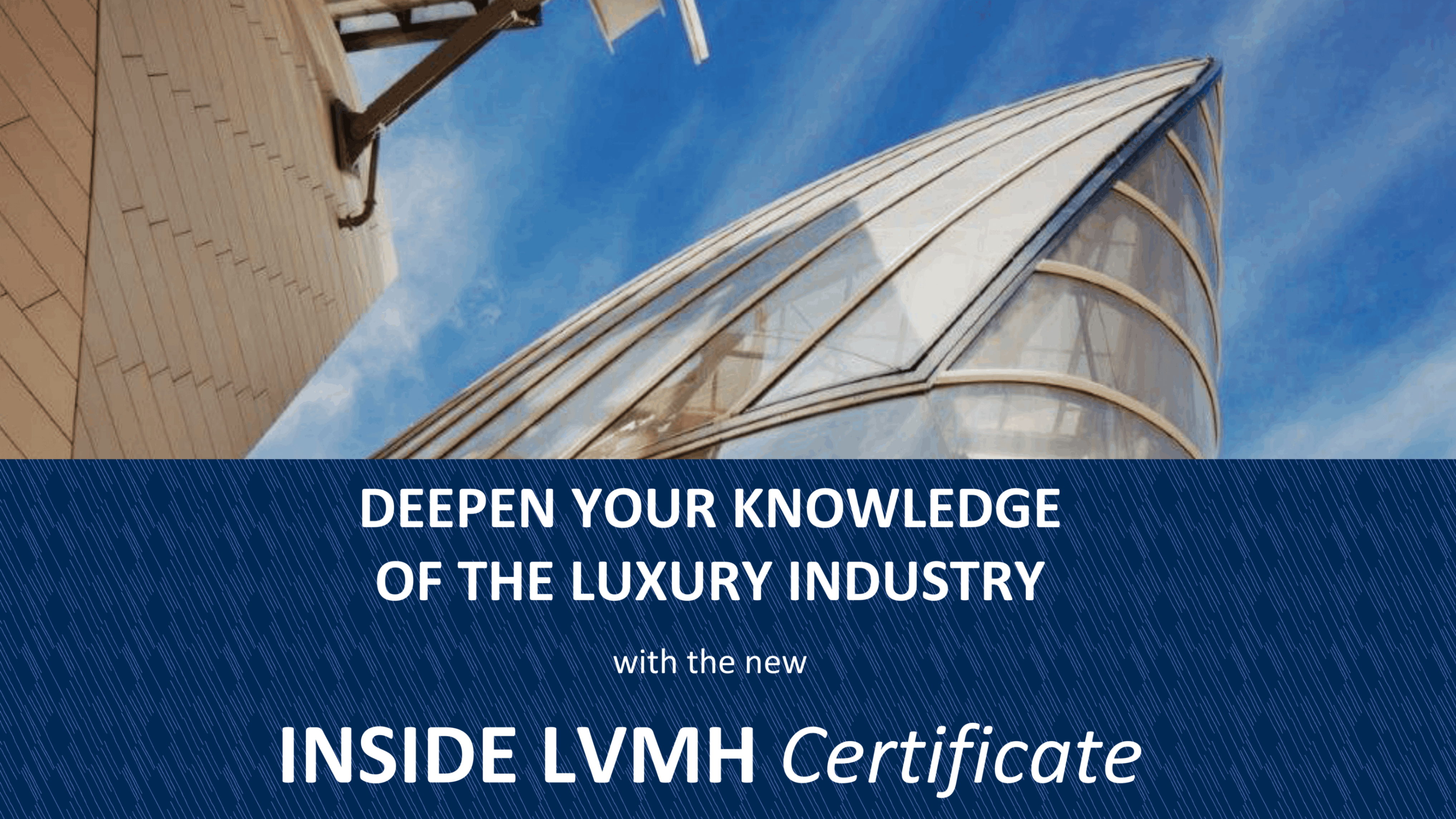 INSIDE LVMH Certificate NUS Centre for Future ready Graduates