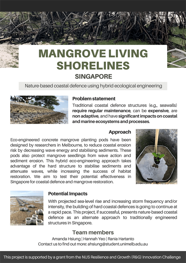 Mangrove Living Shorelines