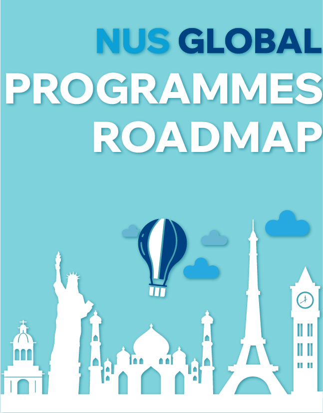 Programme Roadmap