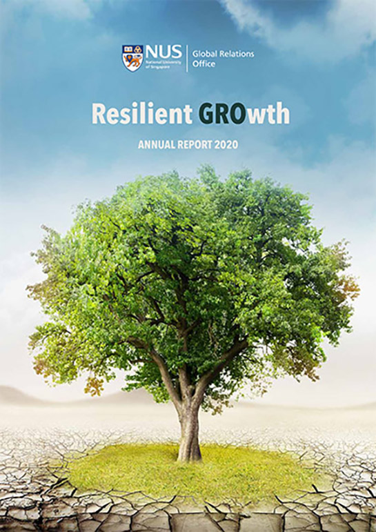 Annual Report 2020