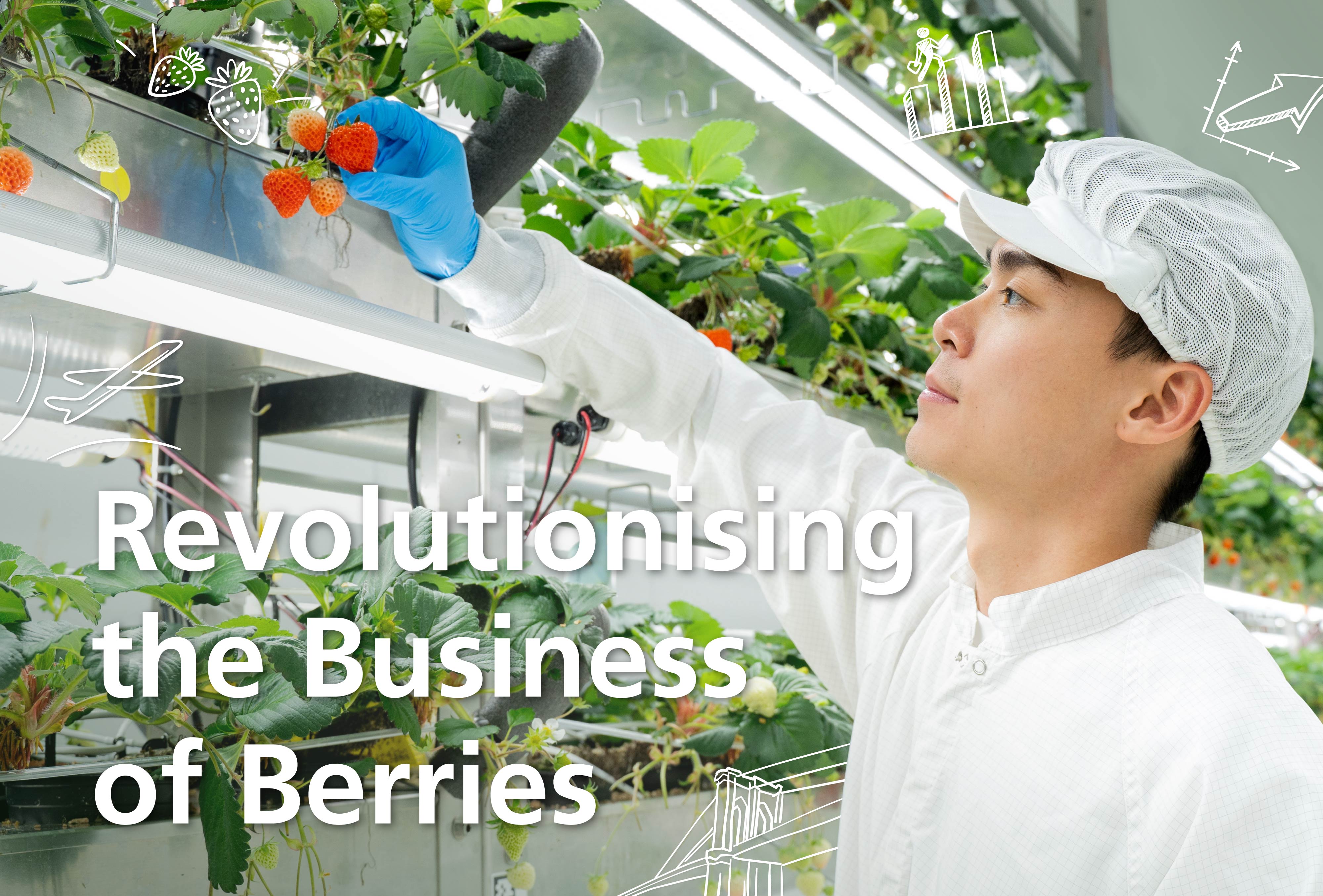 Revolutionising the Business of Berries