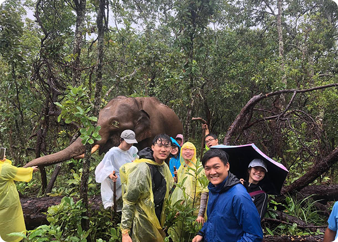 Koi with elephants in Karen Village