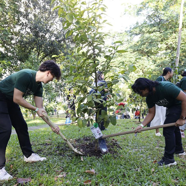 NUS plants 50,000th tree on campus