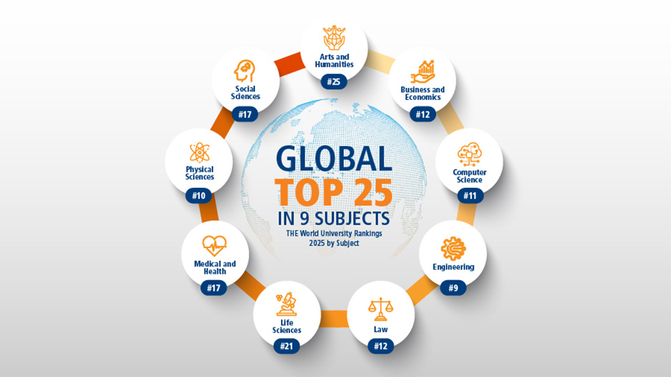 Times Higher Education World University Rankings 2025 by Subject