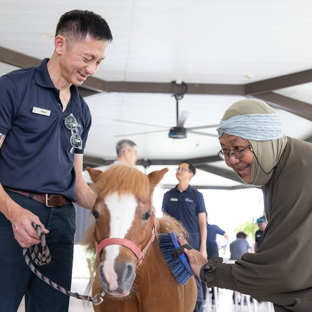 Singapore’s first equine-assisted programme