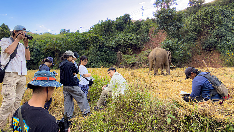 Learning to walk like an elephant: Reflections on an NUS College Impact Experience project