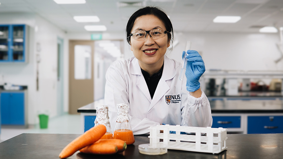 NUS scientists uncover natural compound that fights norovirus infection