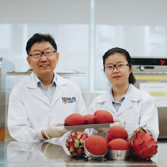Fortified bread using dragon fruit peel extract