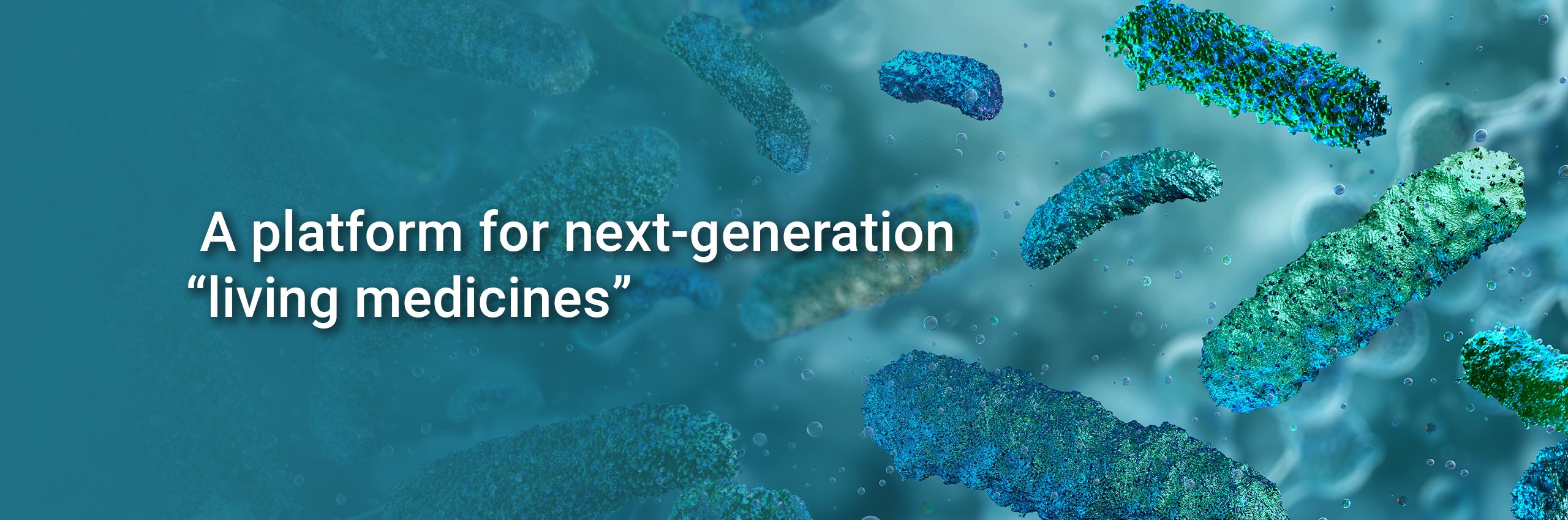 From gut to brain