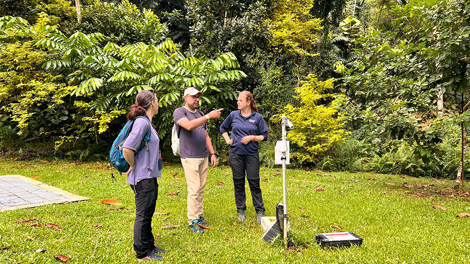 NUS researchers study Singapore’s rainfall and runoff to predict urban floods