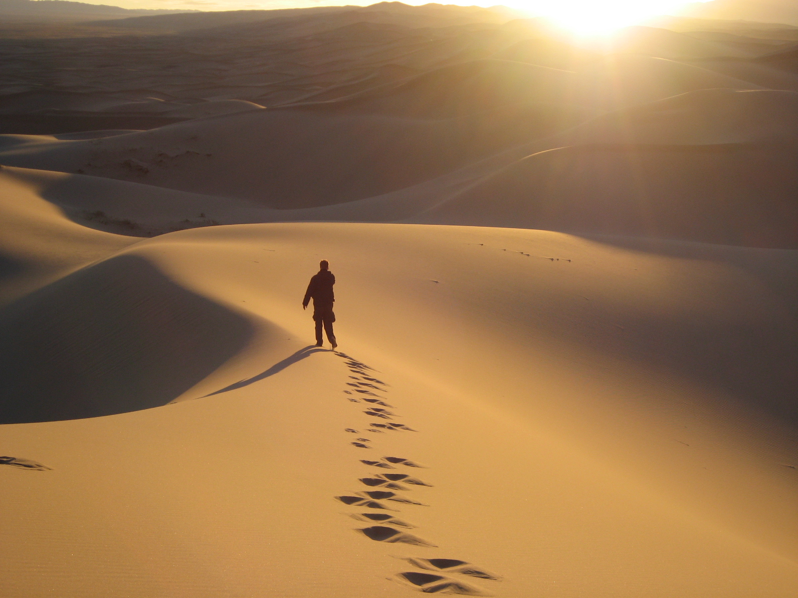 What a 121km trek across the Gobi Desert taught us about transformation