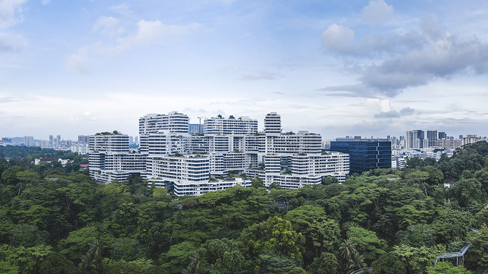 Singapore and the science of cities