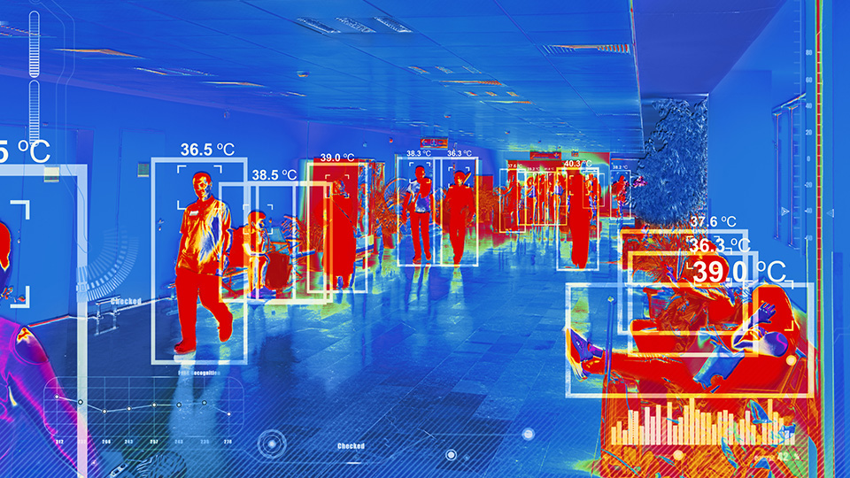 Singapore’s best defence against Nipah virus isn’t temperature screening at the airport