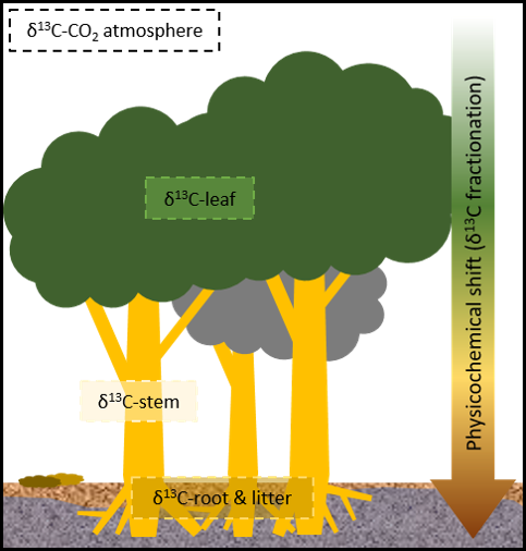 NUS Environmental Research Institute