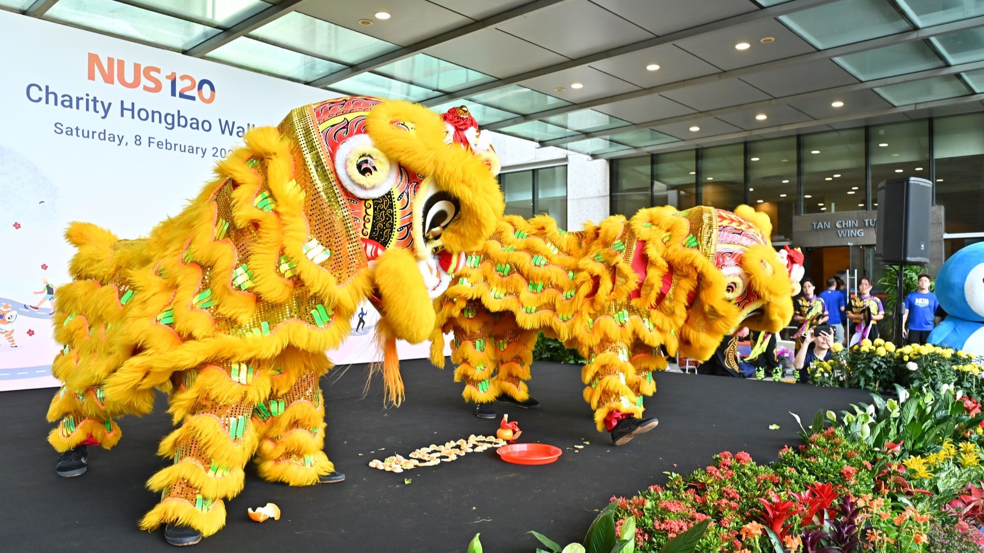 lion-dance-charity-walk