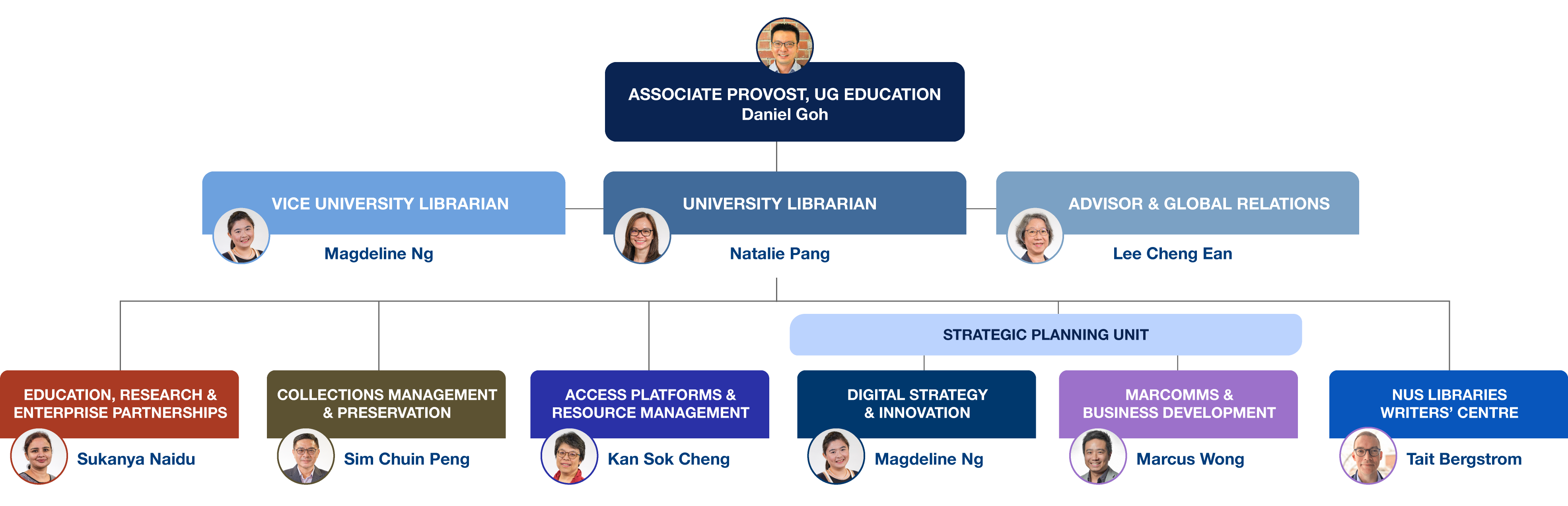 Organisation Chart