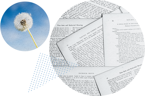 documents and dandelion