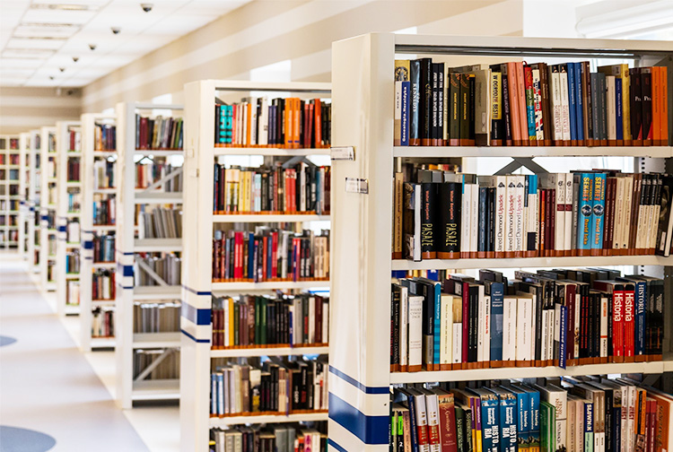 rows of bookshelf