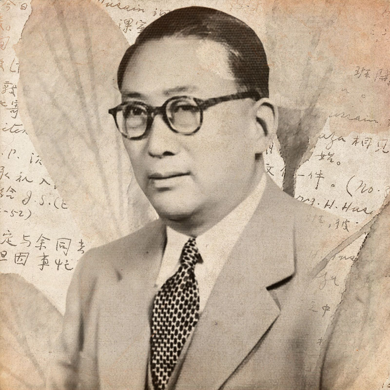 wang zhenshan portrait