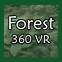 Forest 360 VR