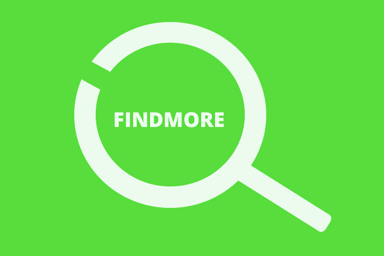 FindMore - the Default Search Function