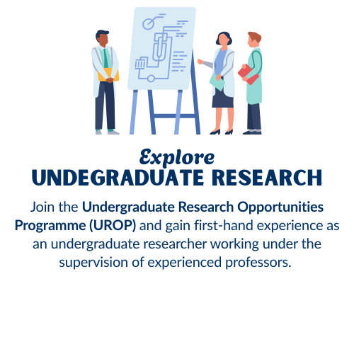 Undergraduate Research