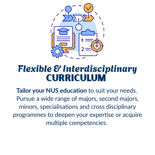 Curriculum