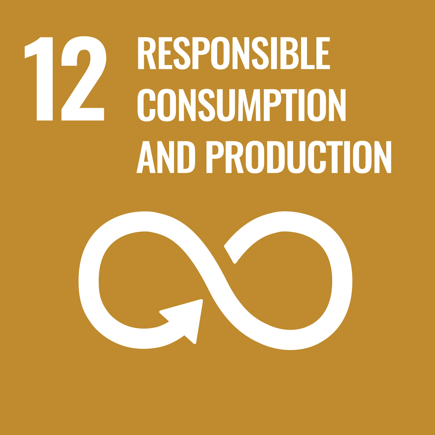 Sustainability Development Goal 12