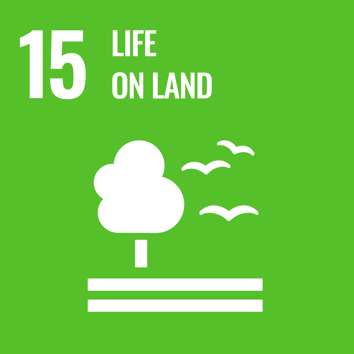 Sustainability Development Goal 15