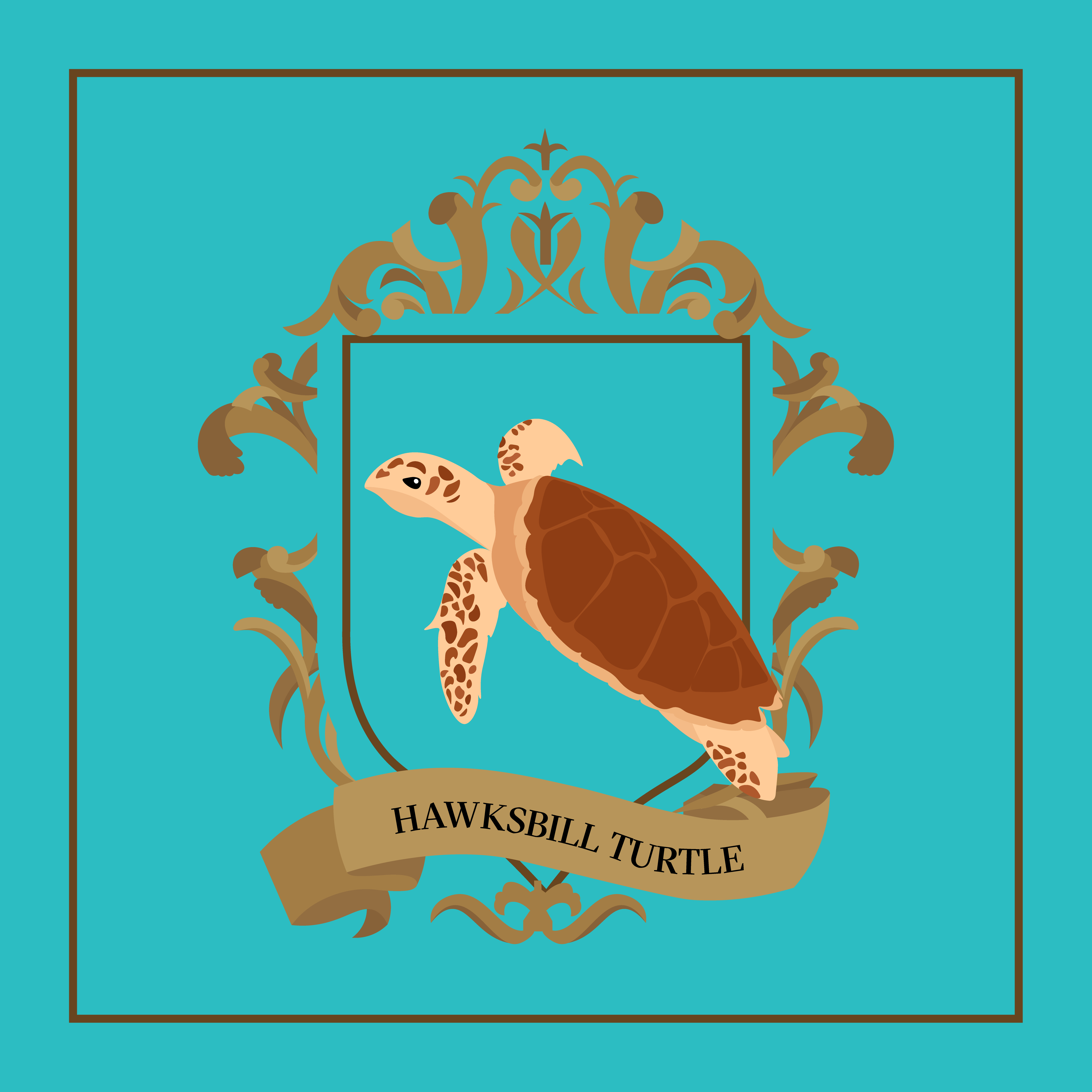 N6 Hawksbill Turtle