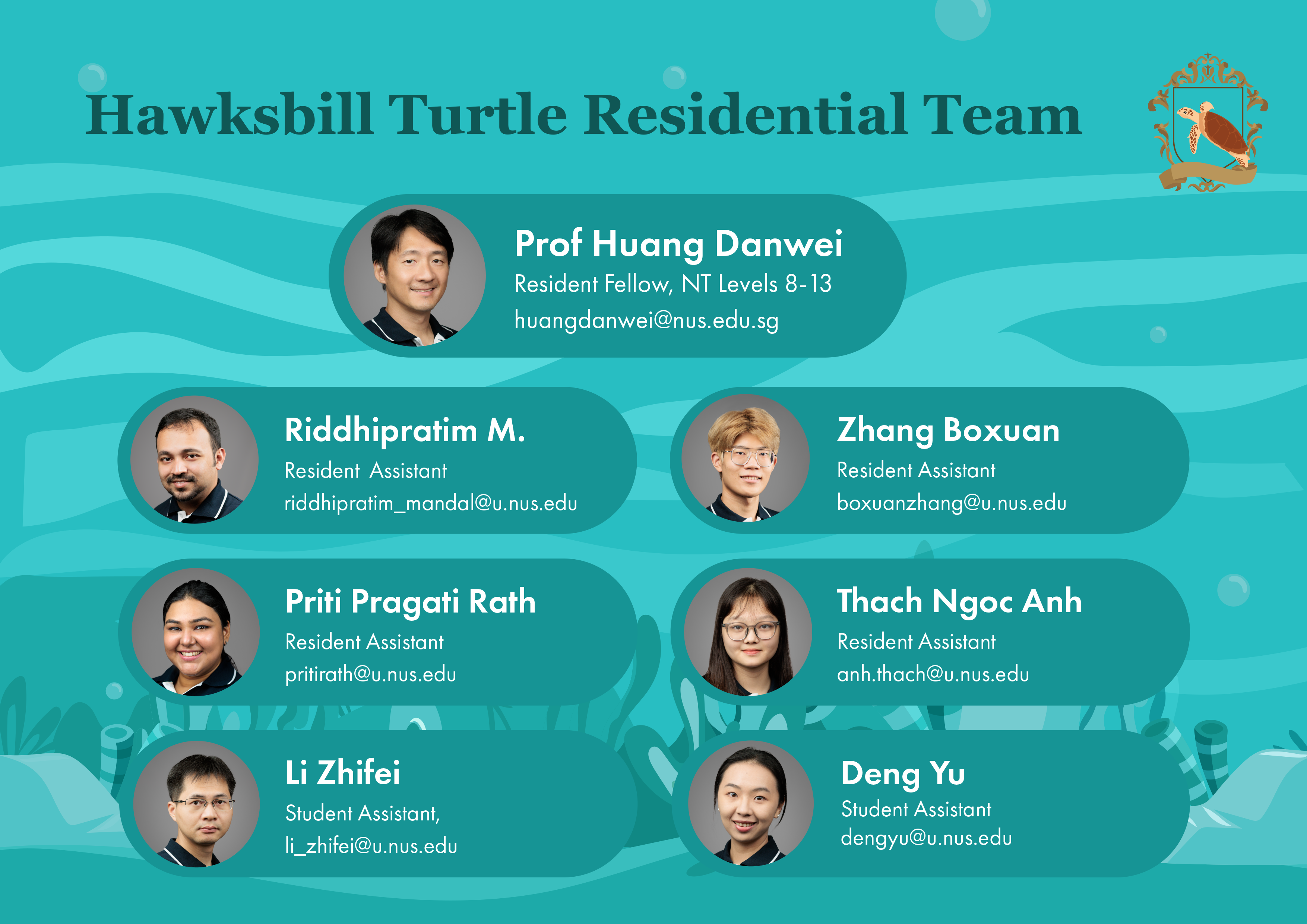 HAWKSBILL TURTLE   N6 Hawksbill Turtle Ay2324s123cbc5cbb7334f46b49319196d82d074 