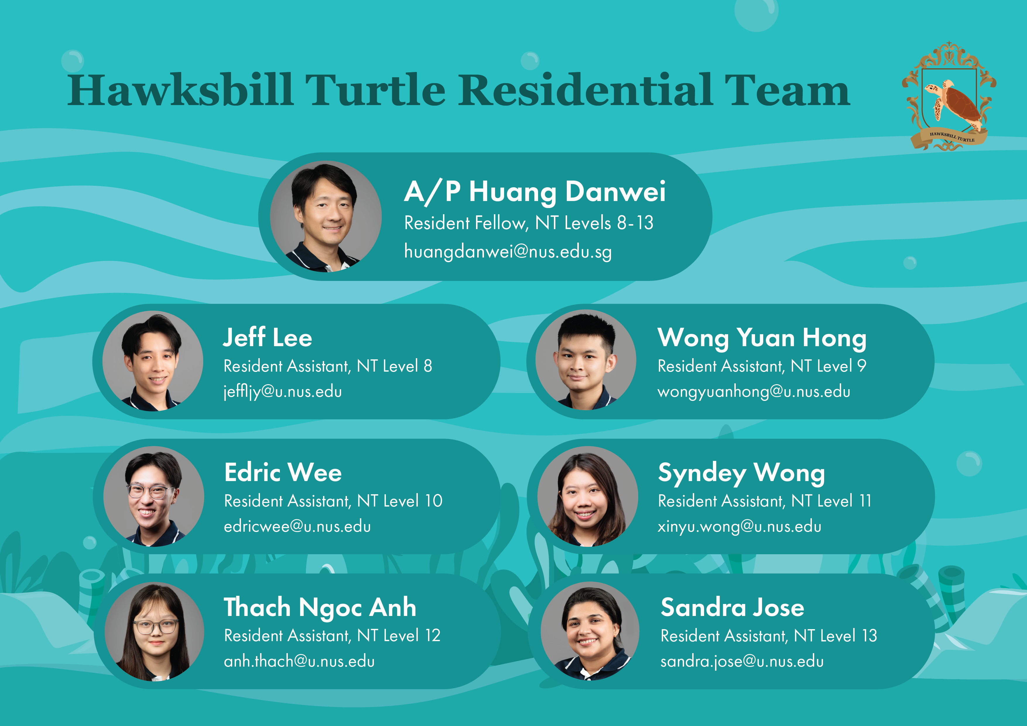 Hawksbill Turtle_ay2526s2