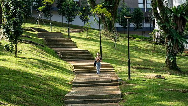 sustainable urban features