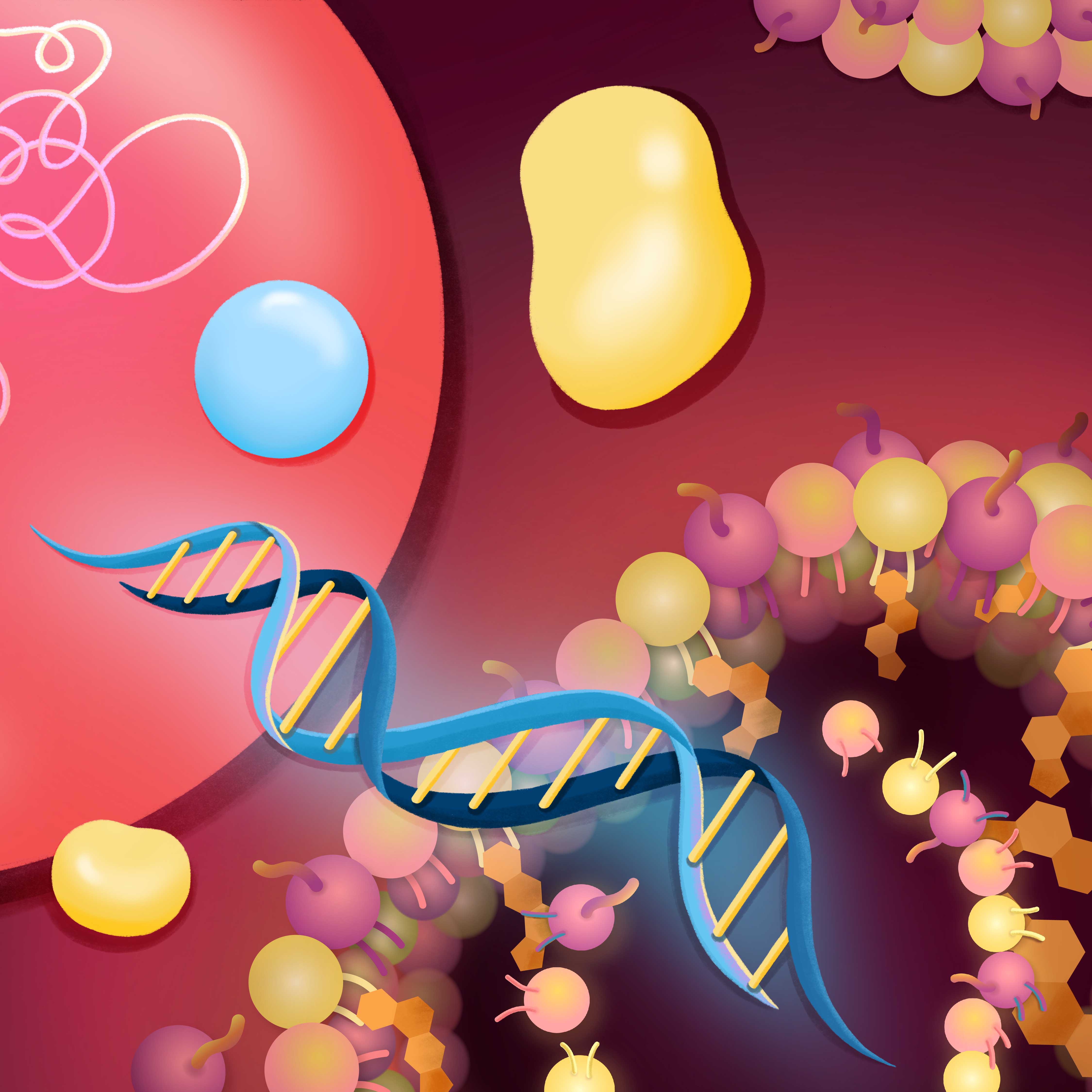 1. Wang_Liver_Cover_1x1