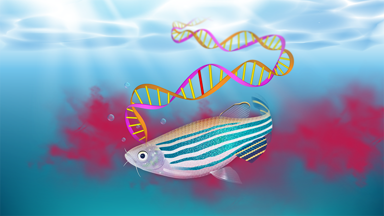 1_Zebrafish cover-16x9