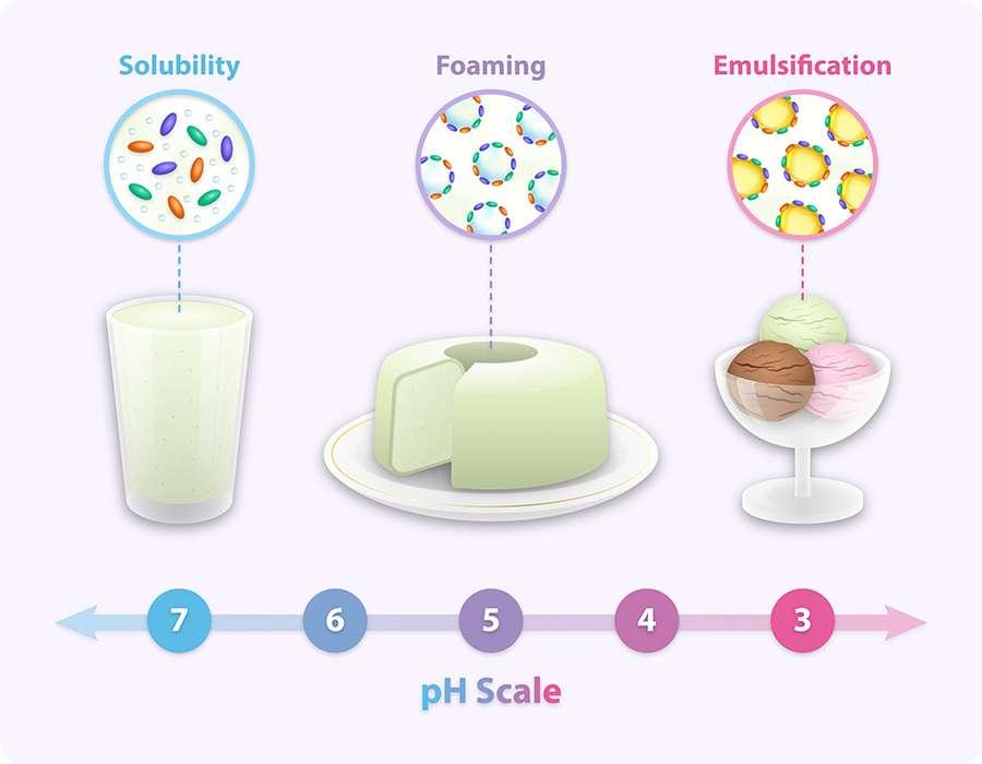 2_Pea-protein-properties-(white)-compressed