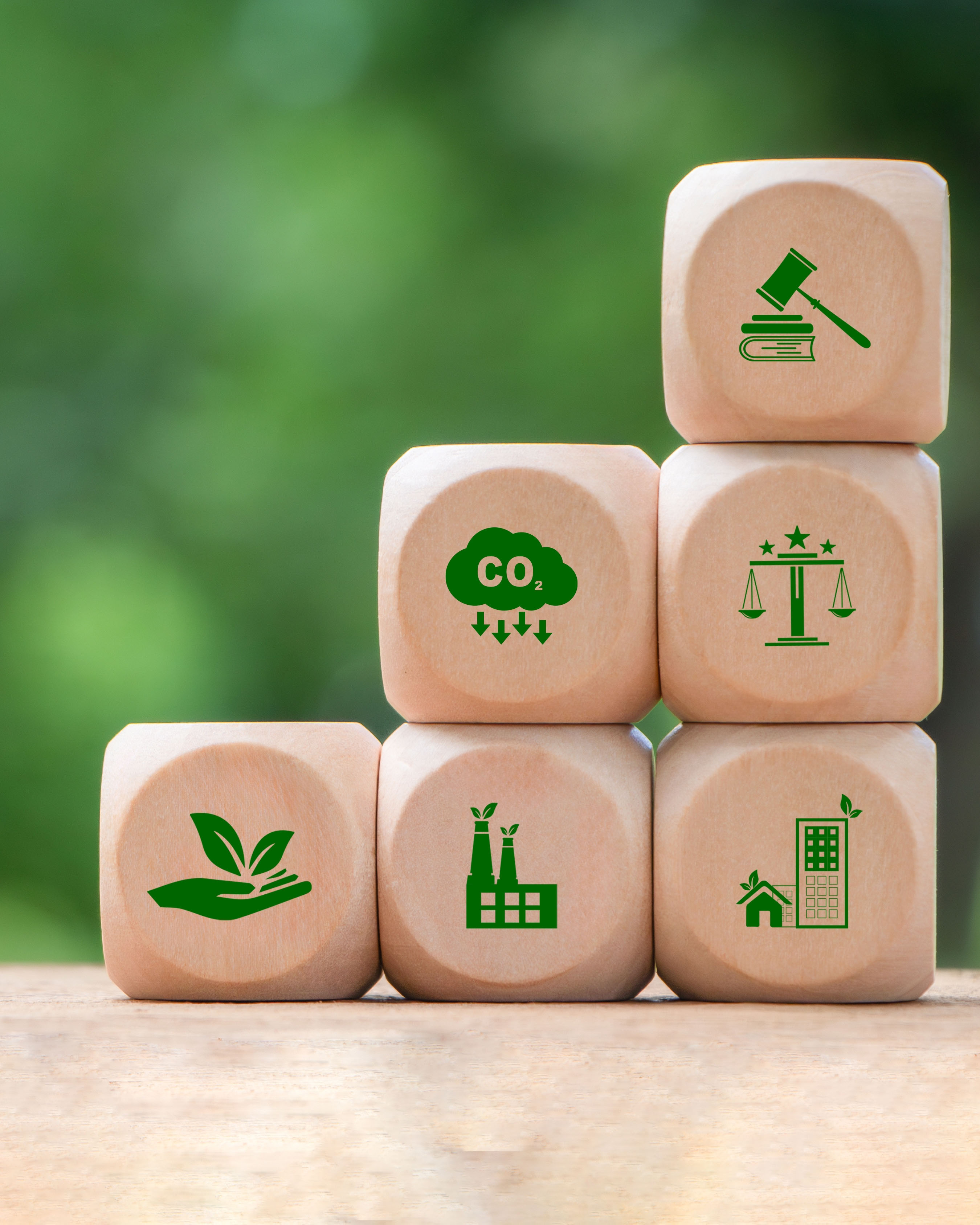 environmental law blocks 4x5