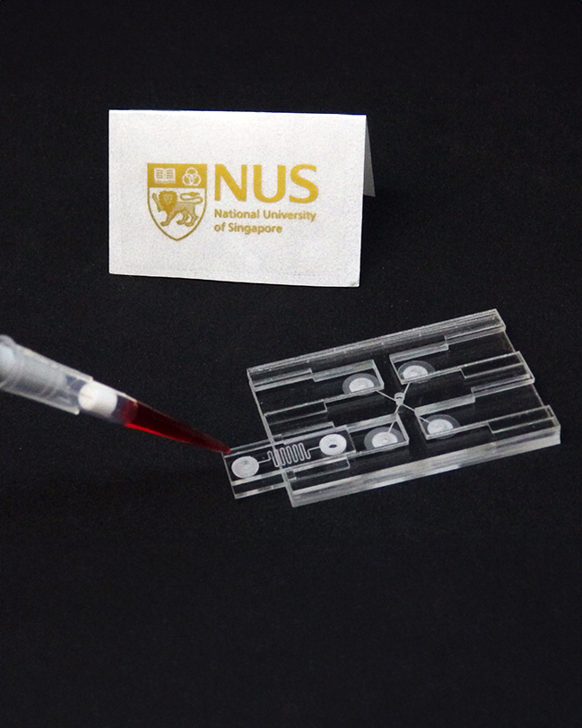 envision_1-904859 4x5