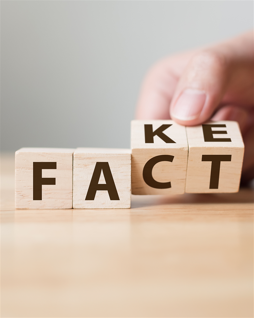 fake fact discerning 4x5