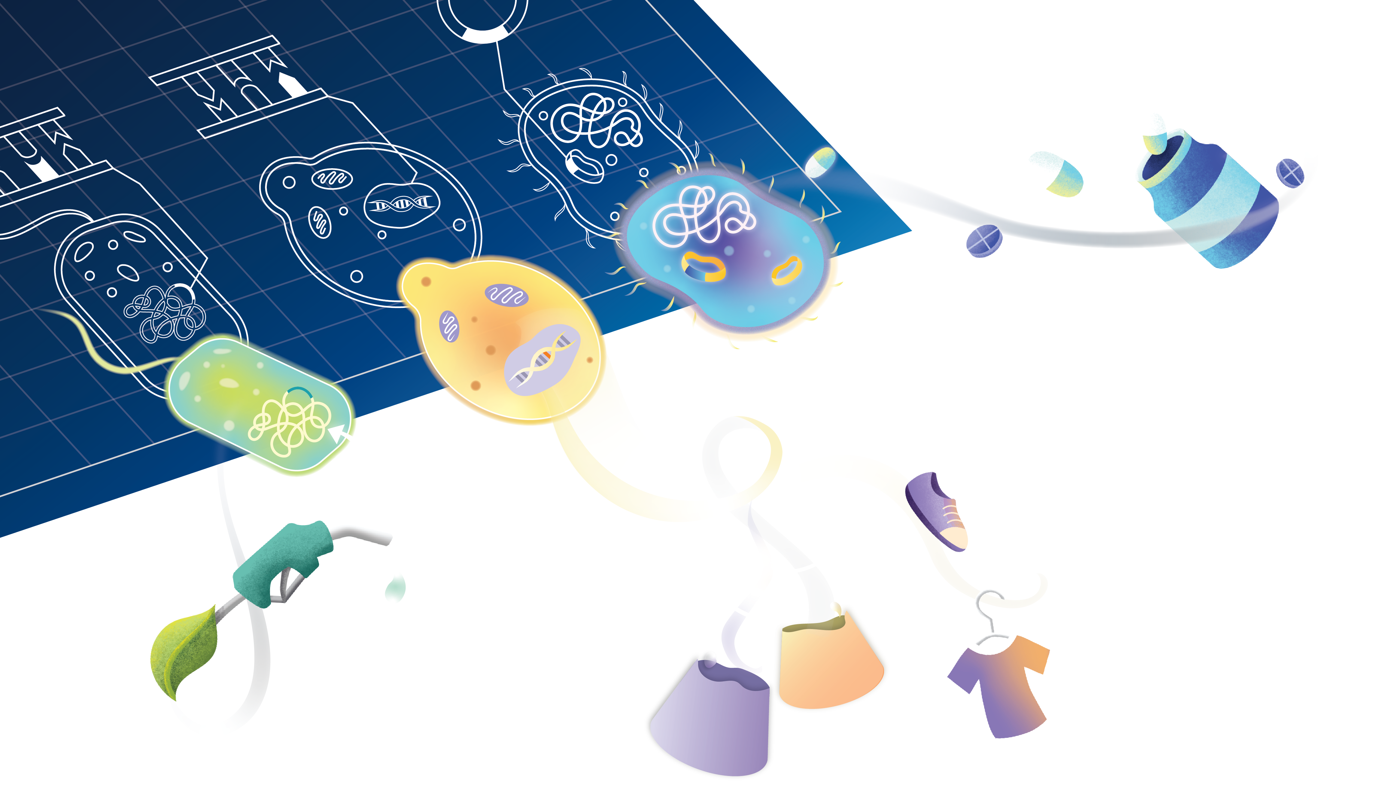 Ignite_Cover story_for website-02