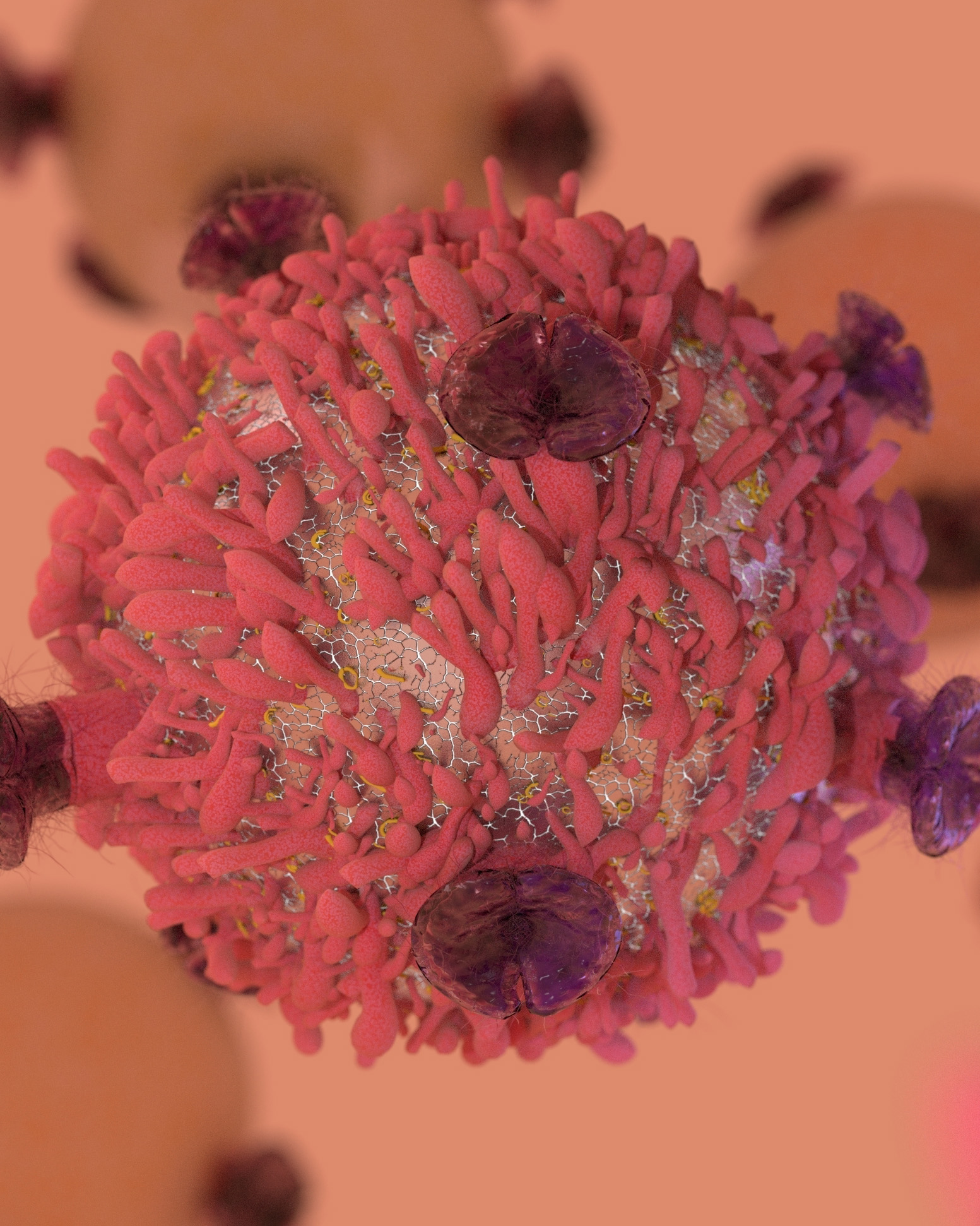 lymphoma-lymph-cell 4x5