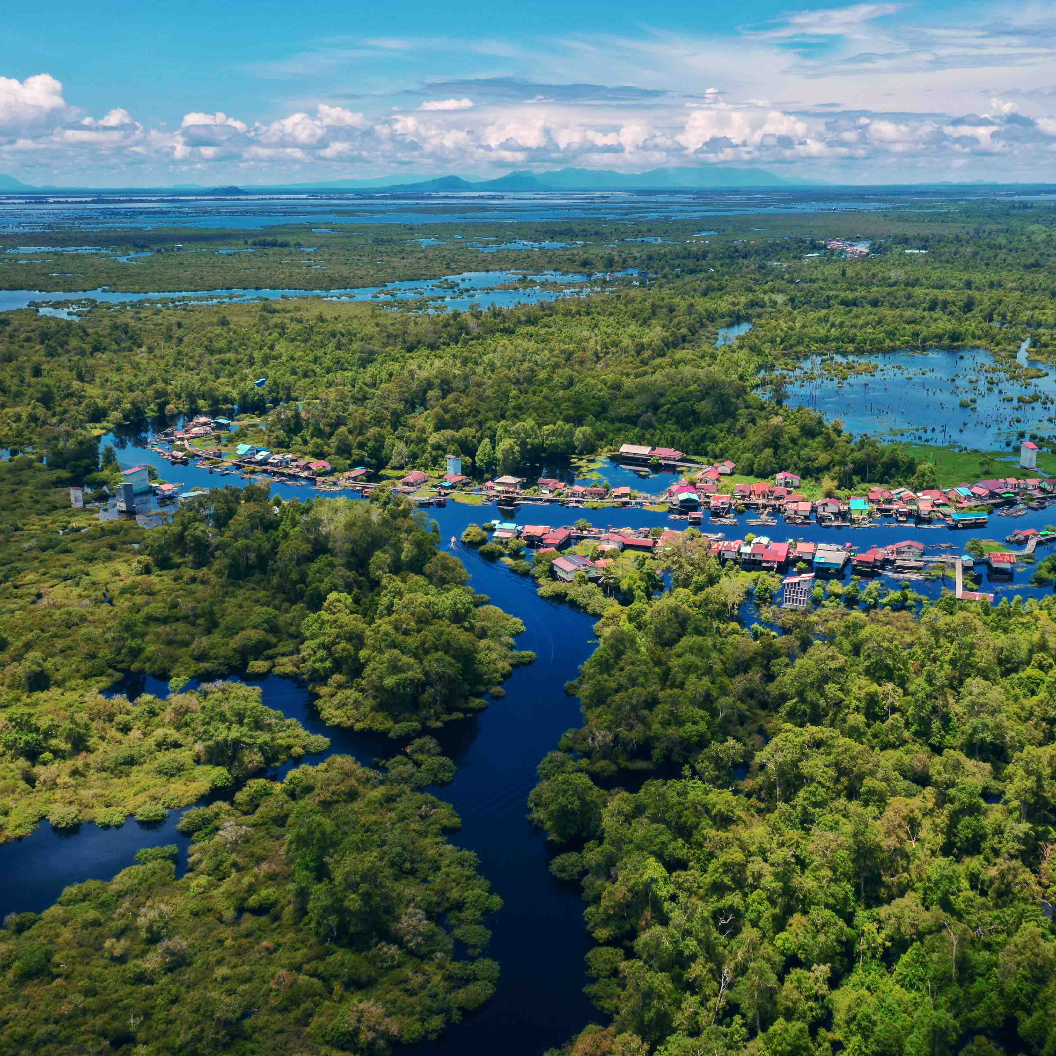 nature based governance SEA