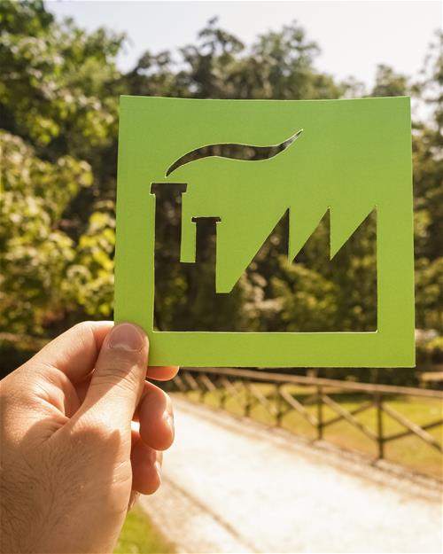 stock-photo-eco-friendly-green-living-331495295_4x5